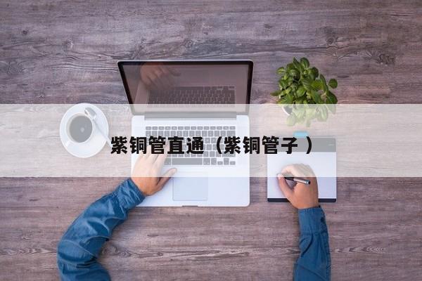 紫銅管直通（紫銅管子 ）