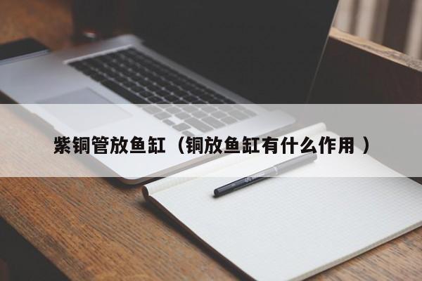 紫銅管放魚缸（銅放魚缸有什么作用 ）