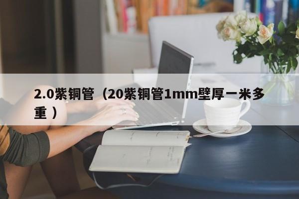 2.0紫銅管（20紫銅管1mm壁厚一米多重 ）
