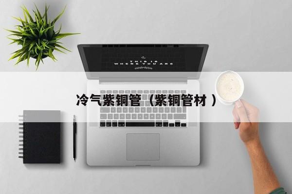 冷氣紫銅管（紫銅管材 ）