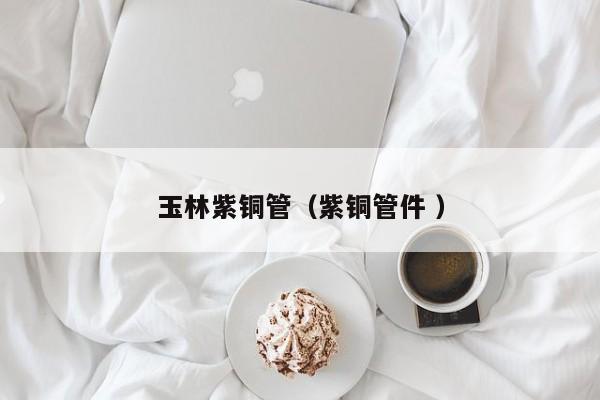 玉林紫銅管（紫銅管件 ）