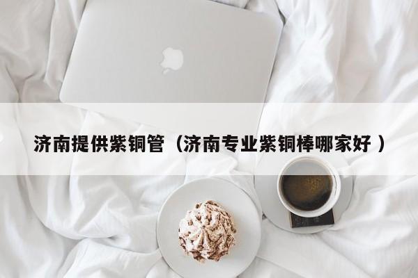 濟(jì)南提供紫銅管（濟(jì)南專業(yè)紫銅棒哪家好 ）