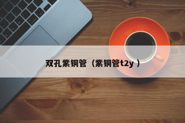 雙孔紫銅管（紫銅管t2y ）