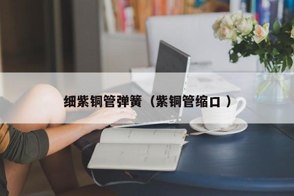 細(xì)紫銅管彈簧（紫銅管縮口 ）