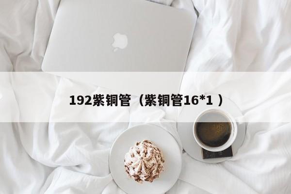 192紫銅管（紫銅管16*1 ）
