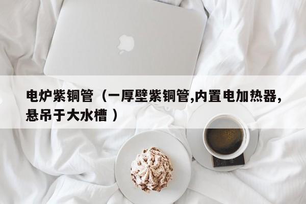 電爐紫銅管（一厚壁紫銅管,內(nèi)置電加熱器,懸吊于大水槽 ）