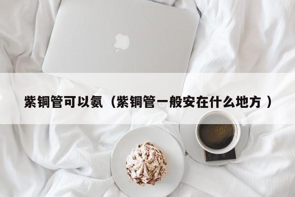 紫銅管可以氨（紫銅管一般安在什么地方 ）