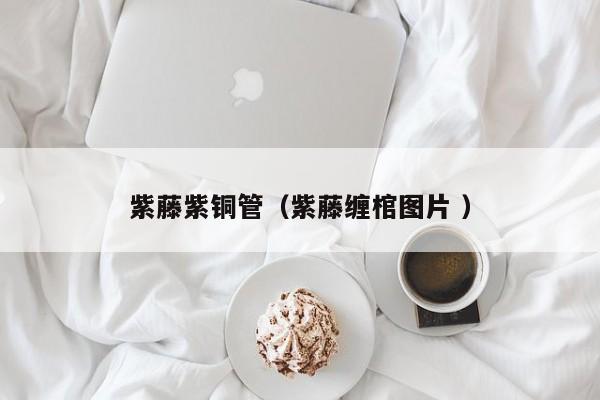 紫藤紫銅管（紫藤纏棺圖片 ）