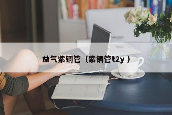 益氣紫銅管（紫銅管t2y ）