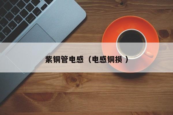 紫銅管電感（電感銅損 ）