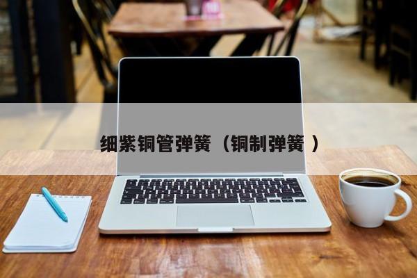 細(xì)紫銅管彈簧（銅制彈簧 ）