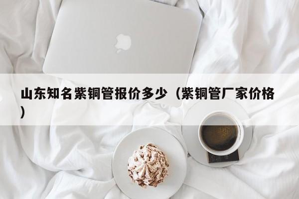 山東知名紫銅管報(bào)價(jià)多少（紫銅管廠家價(jià)格 ）