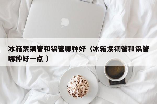 冰箱紫銅管和鋁管哪種好（冰箱紫銅管和鋁管哪種好一點(diǎn) ）