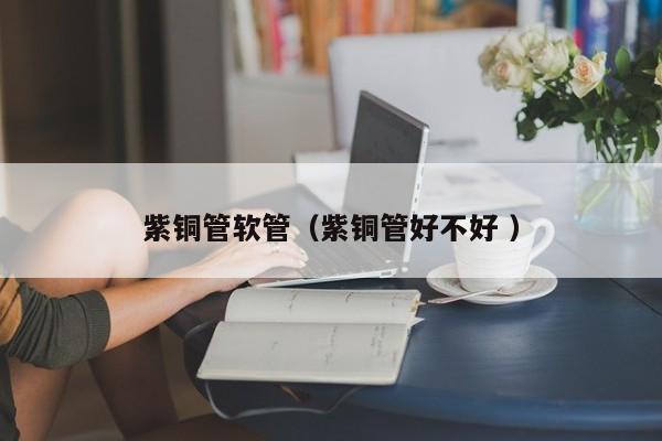 紫銅管軟管（紫銅管好不好 ）