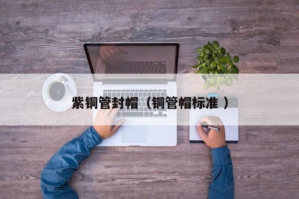 紫銅管封帽（銅管帽標(biāo)準(zhǔn) ）