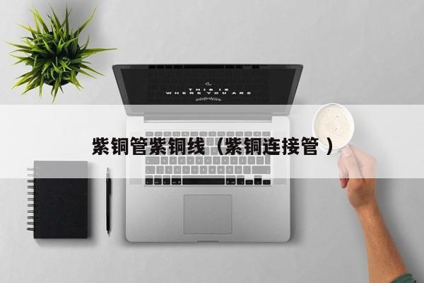 紫銅管紫銅線（紫銅連接管 ）