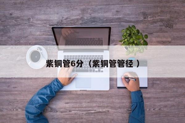 紫銅管6分（紫銅管管徑 ）