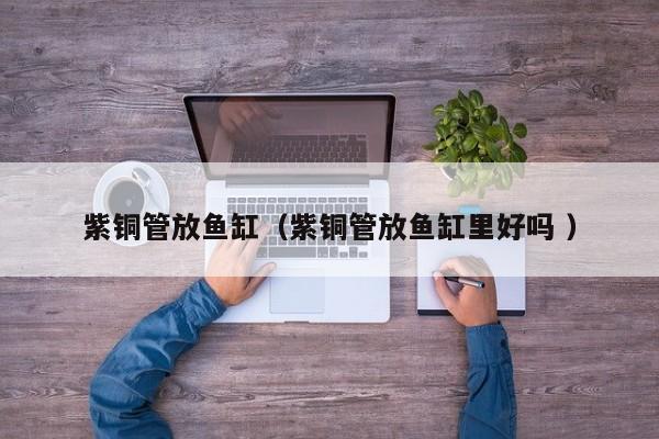 紫銅管放魚缸（紫銅管放魚缸里好嗎 ）