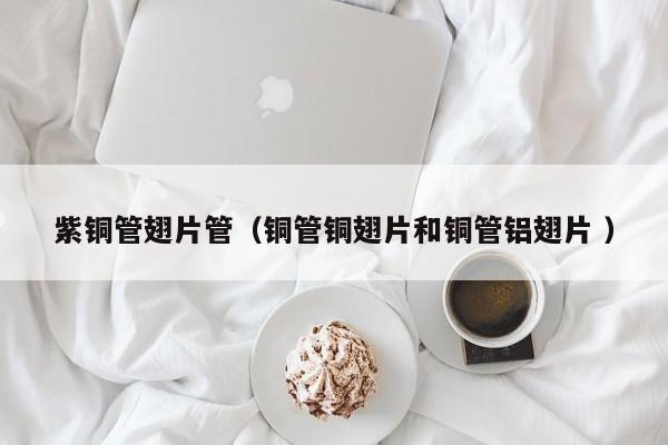 紫銅管翅片管（銅管銅翅片和銅管鋁翅片 ）