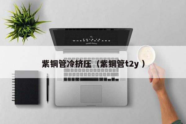 紫銅管冷擠壓（紫銅管t2y ）